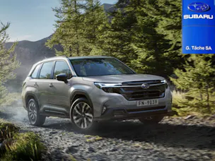 Garage Tache, Subaru en argent dans une forêt