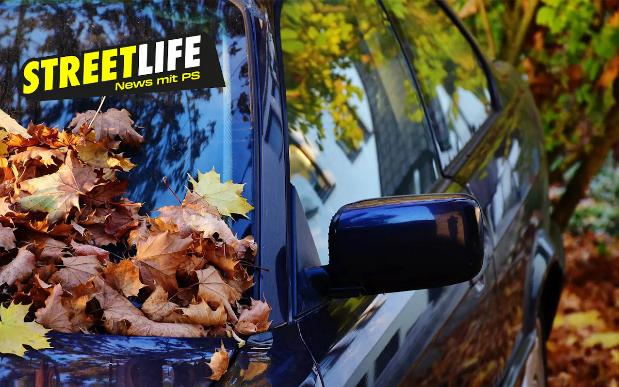 Guidare in autunno