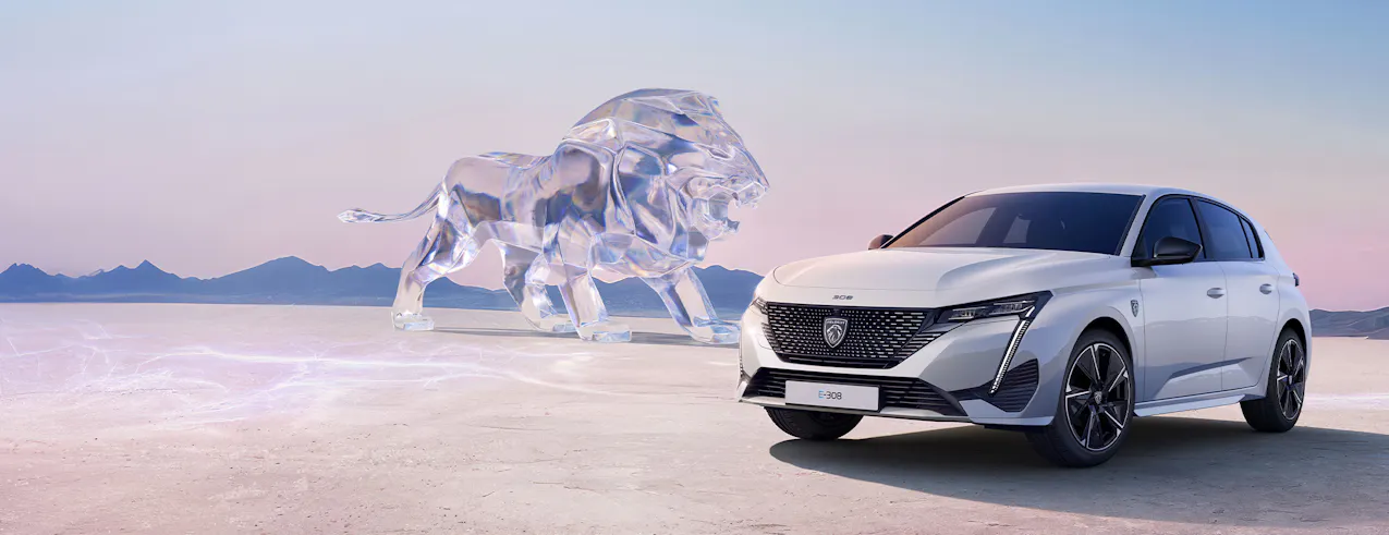 Nuova E-308 con leoni di vetro sullo sfondo