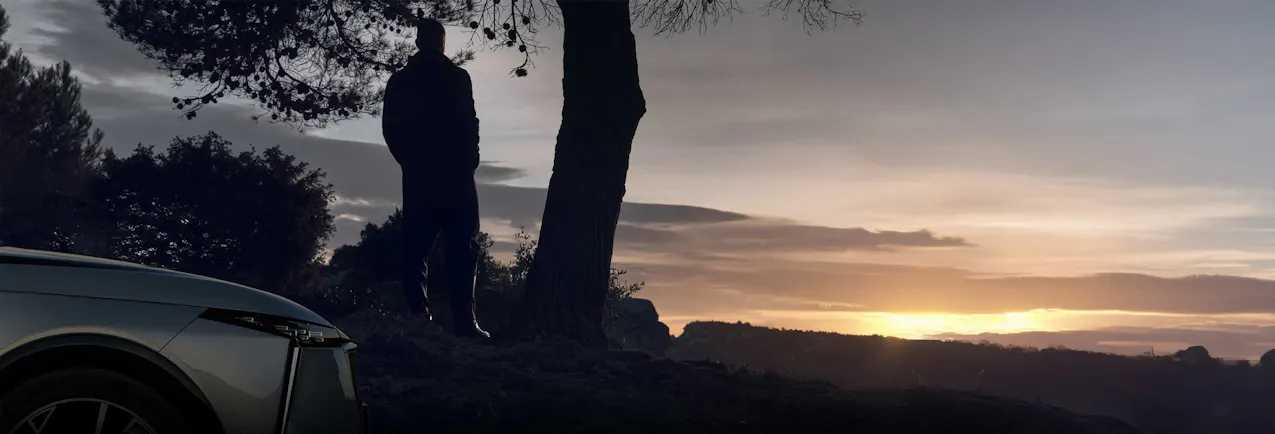 Une personne se tient sous un arbre ; à gauche, on aperçoit l'avant d'une DS Automobile ; la nuit tombe