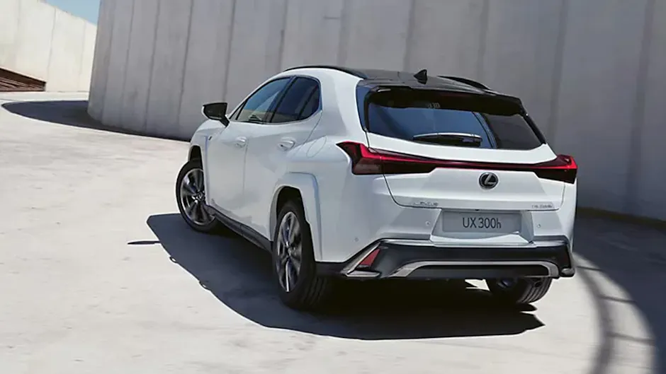 Lexus UX 300h in Weiss von hinten