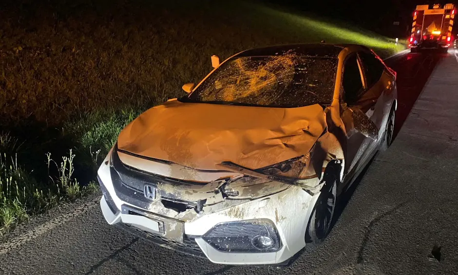 Verunfalltes Auto mit zerstörter Front aufgrund von Wildwechsel