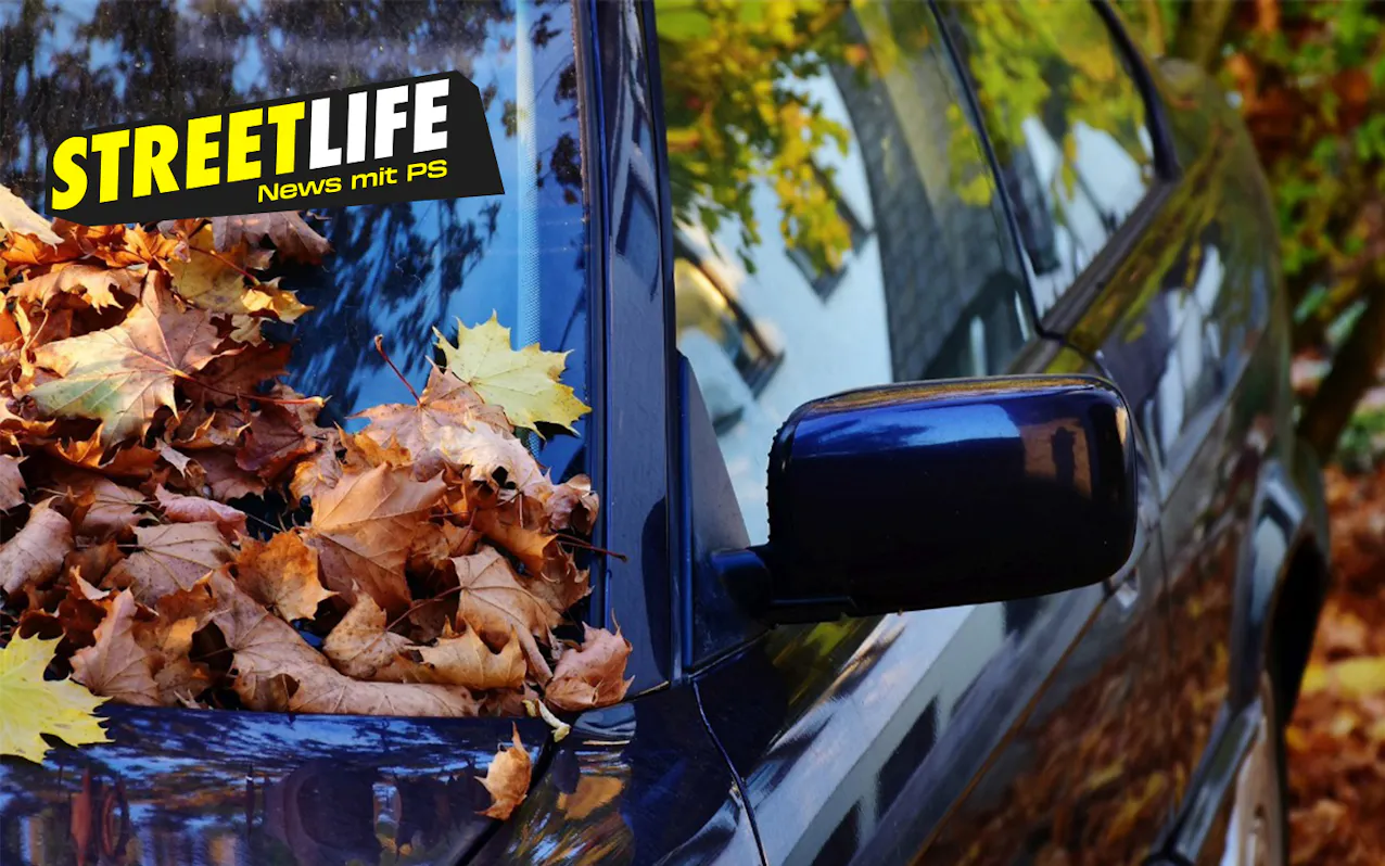 Auto im Herbst mit Laub auf der Windschutzscheibe und Seitenspiegel.