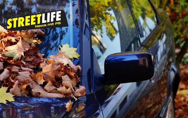 Auto im Herbst mit Laub auf der Windschutzscheibe und Seitenspiegel.