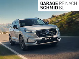 Grauer Honda auf Landstrasse