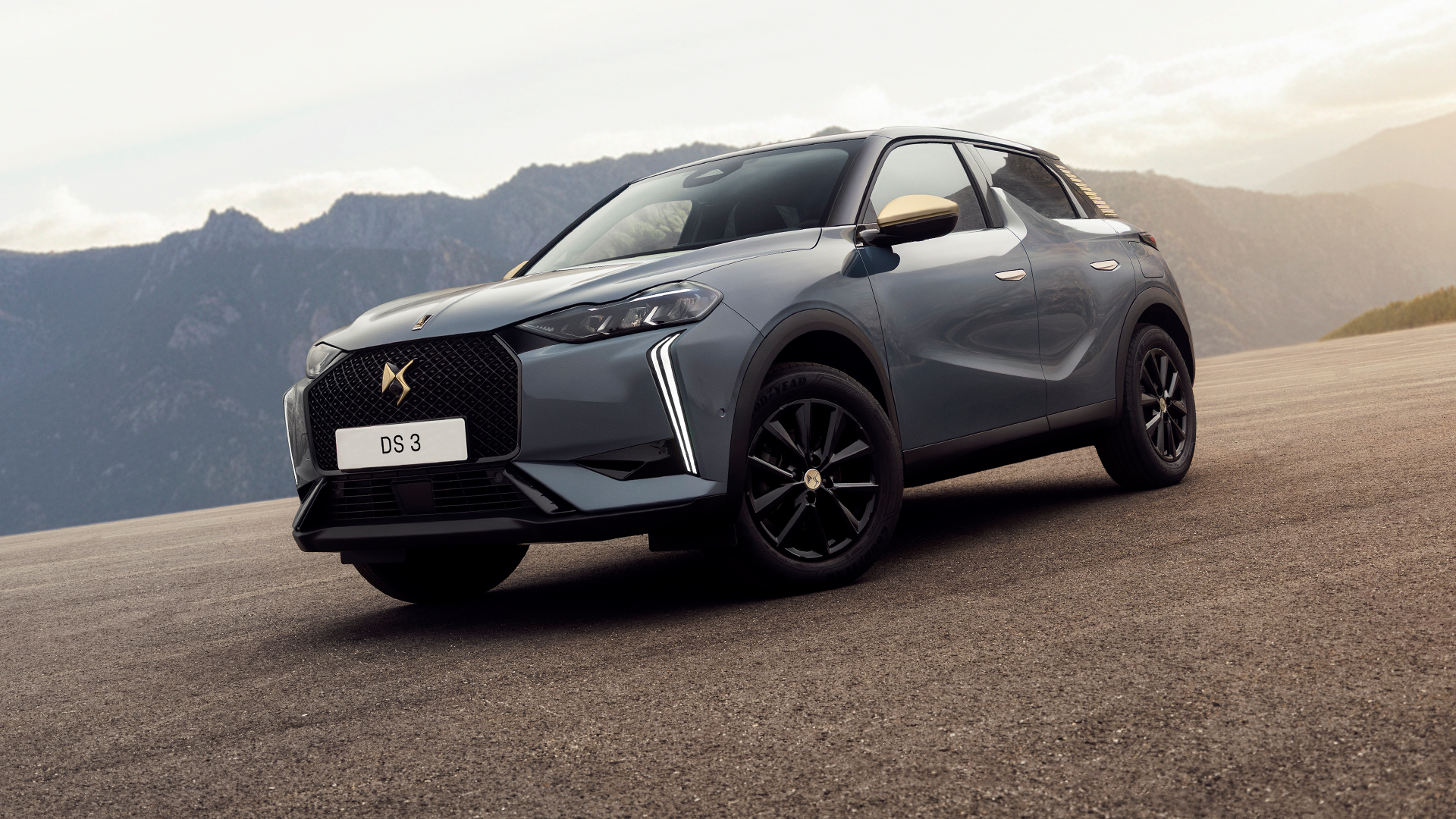 DS 3