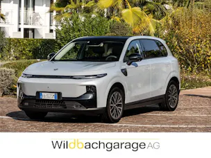 Brand-Ad-Wildbach-Leapmotor-1200x900px.jpeg