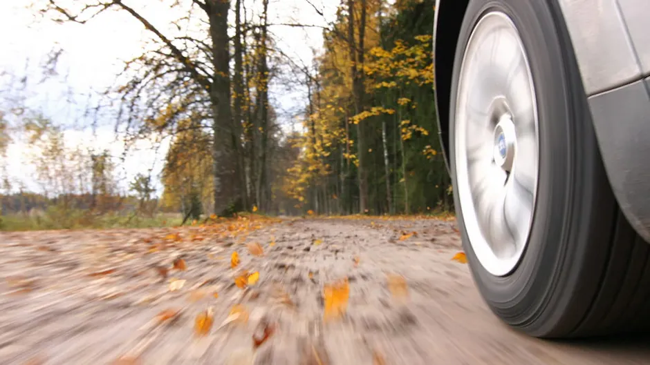 Un'auto sta percorrendo il margine del bosco; i cerchioni argentati dell'auto sono a fuoco