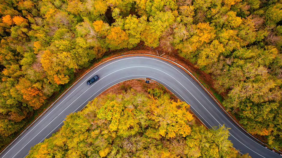 Un'auto percorre una curva nel bosco, ripresa dall'alto