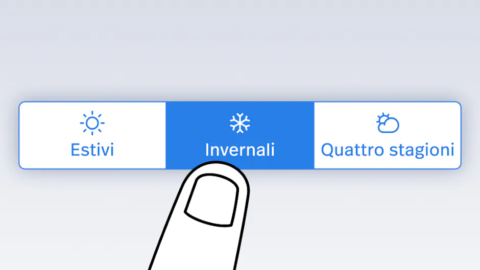 Illustrazione delle stagioni per pneumatici