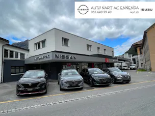 Auto Nart