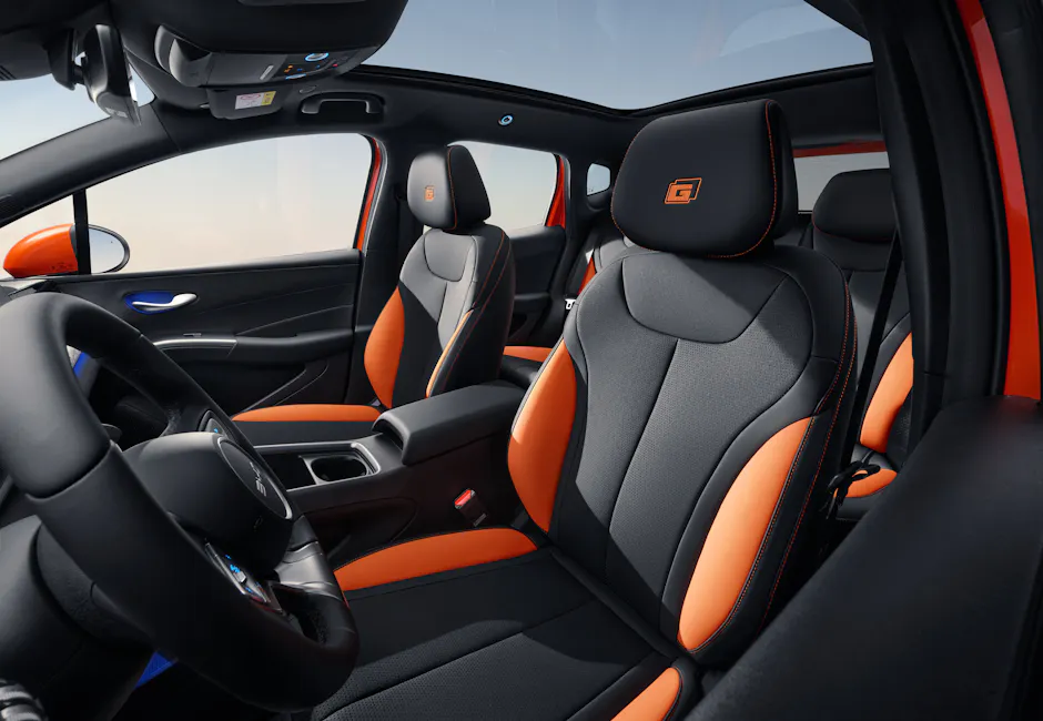 BYD interno